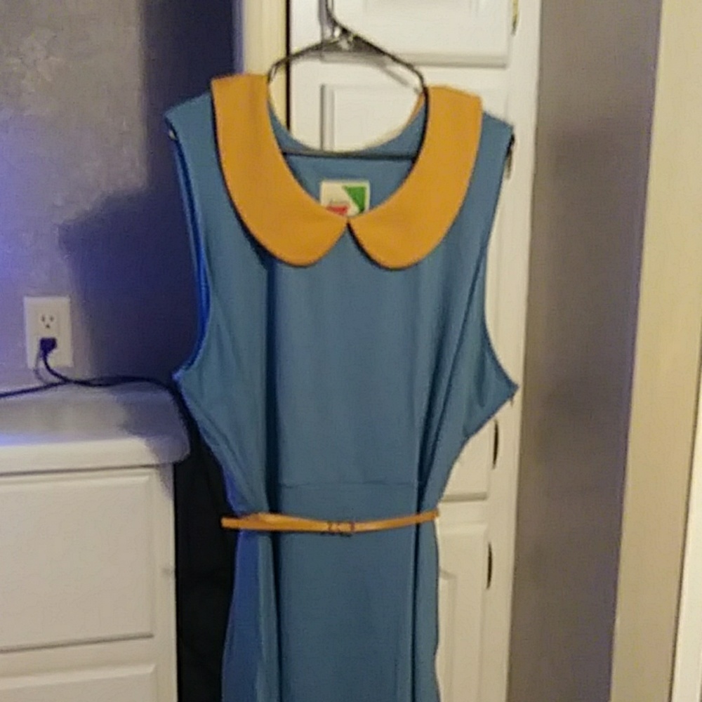 Fevour Vintage style dress.